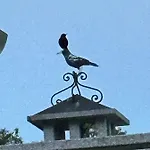 Piemonte