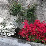 Piemonte شقة