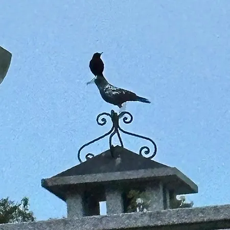 Piemonte