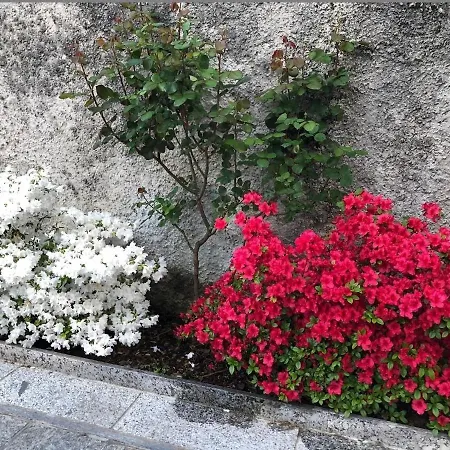 Piemonte شقة